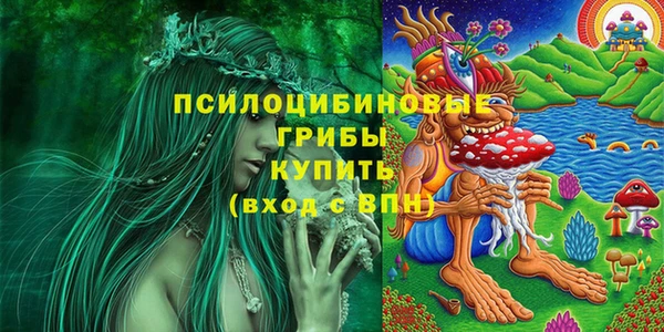 PSILOCYBIN Алексин