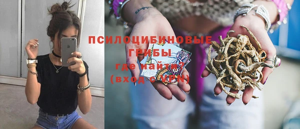 СК Алексеевка